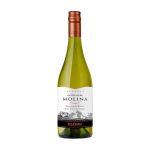 Castillo de Molina Reserva Sauvignon Blanc 750cc