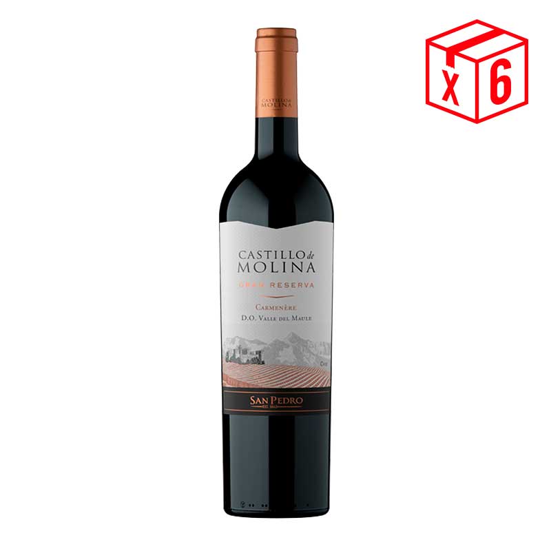 pack-x6,-Castillo-de-molina-Gran-rsva-carmenere Pack x6, Gran Rsva Carmenere Castillo de Molina - Imagen 1