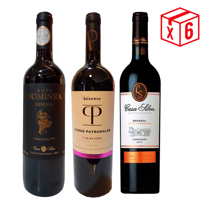 pack-x6,-dominga-blac-+-casas-patronales-+-casa-silva-cuvee-car Pack x6, (2) Casa Silva Doña Dominga Black Rsva Carmenere + (2) Casas Patronales Rsva Carmenere + (2) Casa Silva Terroir de familia Carmenere - Imagen 1