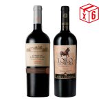 PACK GRAN CARMENERE: (3) Chateau Los Boldos + (3) Toro De Piedra