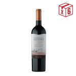 PACK CASTILLO MOLINA GRAN CABERNET: (6)Castillo de Molina Gran Rsva Cabernet S.