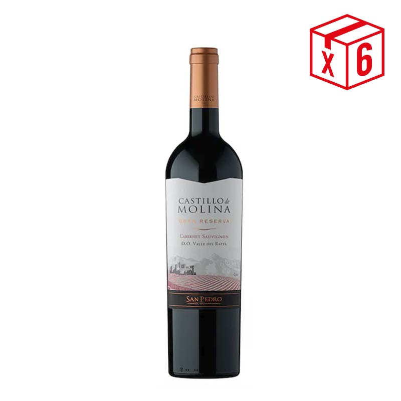 castillo molina cabernet pack okok PACK CASTILLO MOLINA GRAN CABERNET: (6)Castillo de Molina Gran Rsva Cabernet S. - Imagen 1