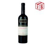 Pack x6, Santa Ema Gran Rsva Cabernet S.