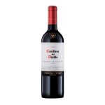 Casillero del Diablo Reserva Cabernet S
