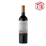PACK CASTILLO MOLINA GRAN CARMENERE: (6)Castillo de Molina Gran Rsva Carmenere